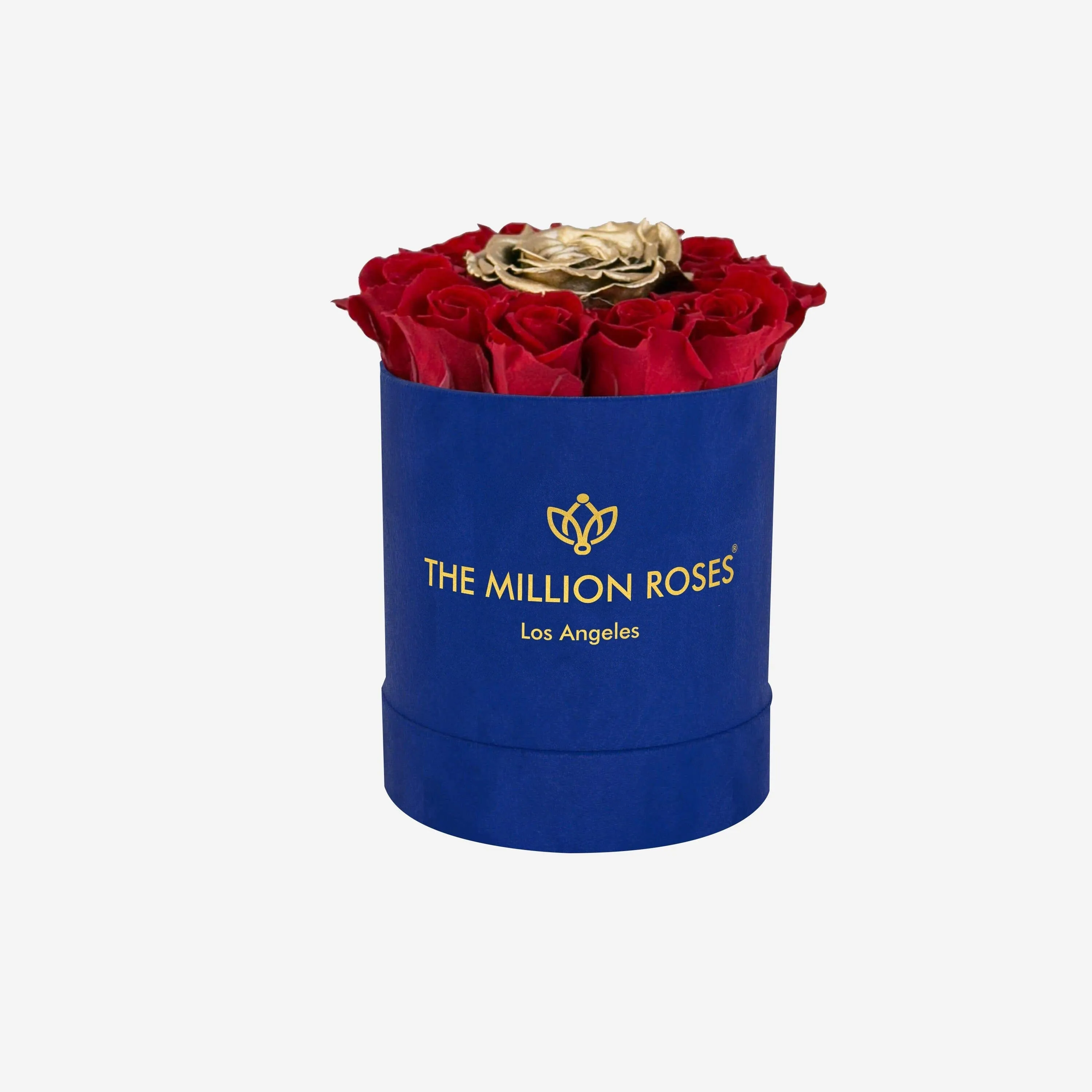 Basic Royal Blue Suede Box | Red & Gold Mini Roses