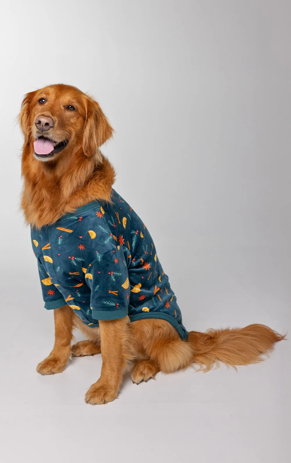 Holiday Garland Pet Pajamas- Family Set