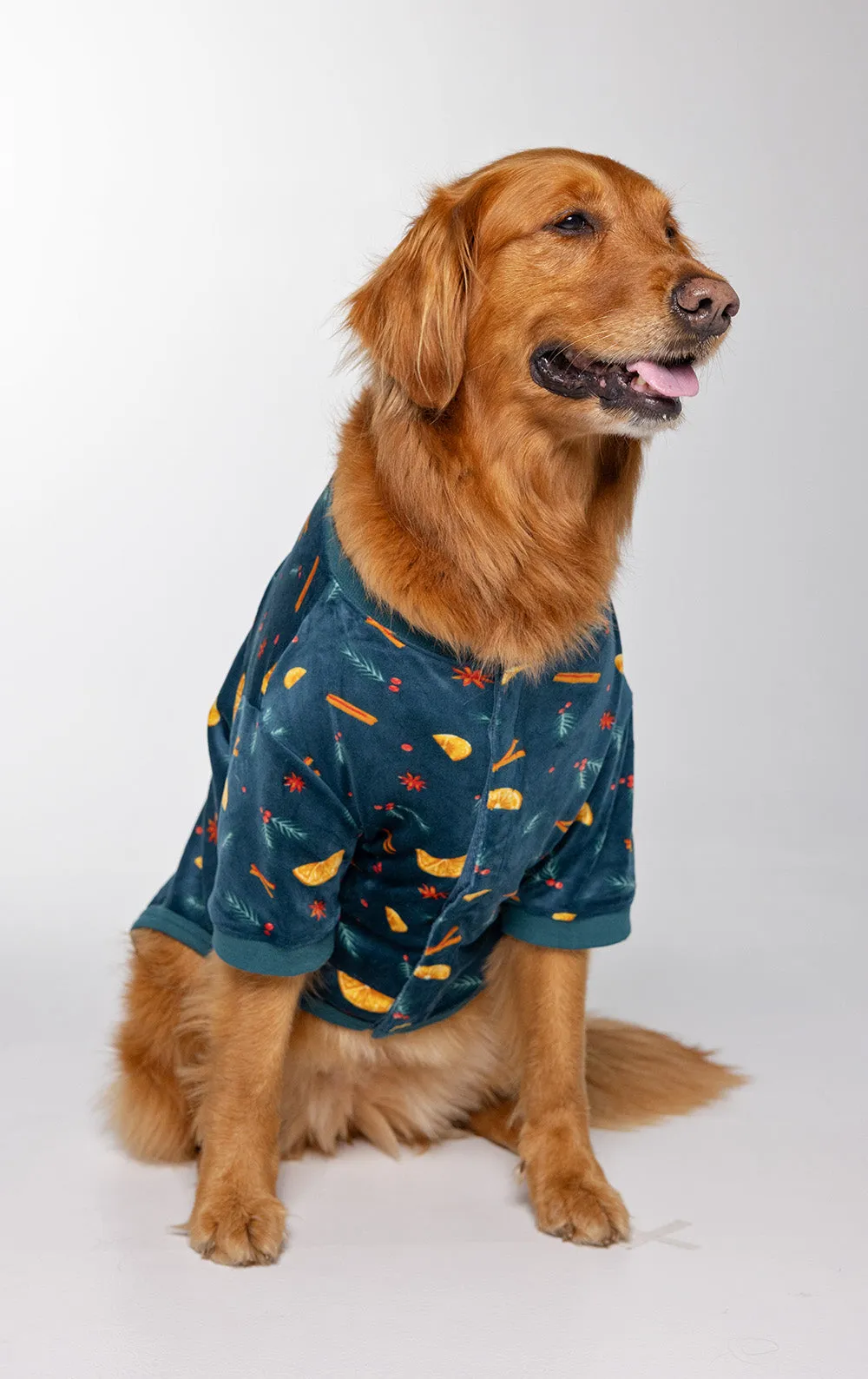 Holiday Garland Pet Pajamas- Family Set