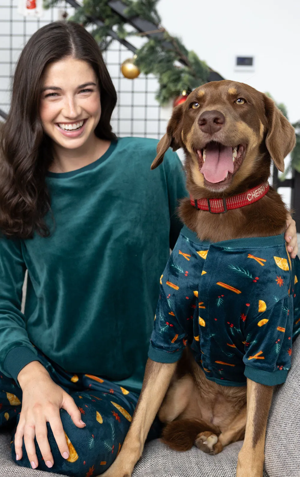 Holiday Garland Pet Pajamas- Family Set