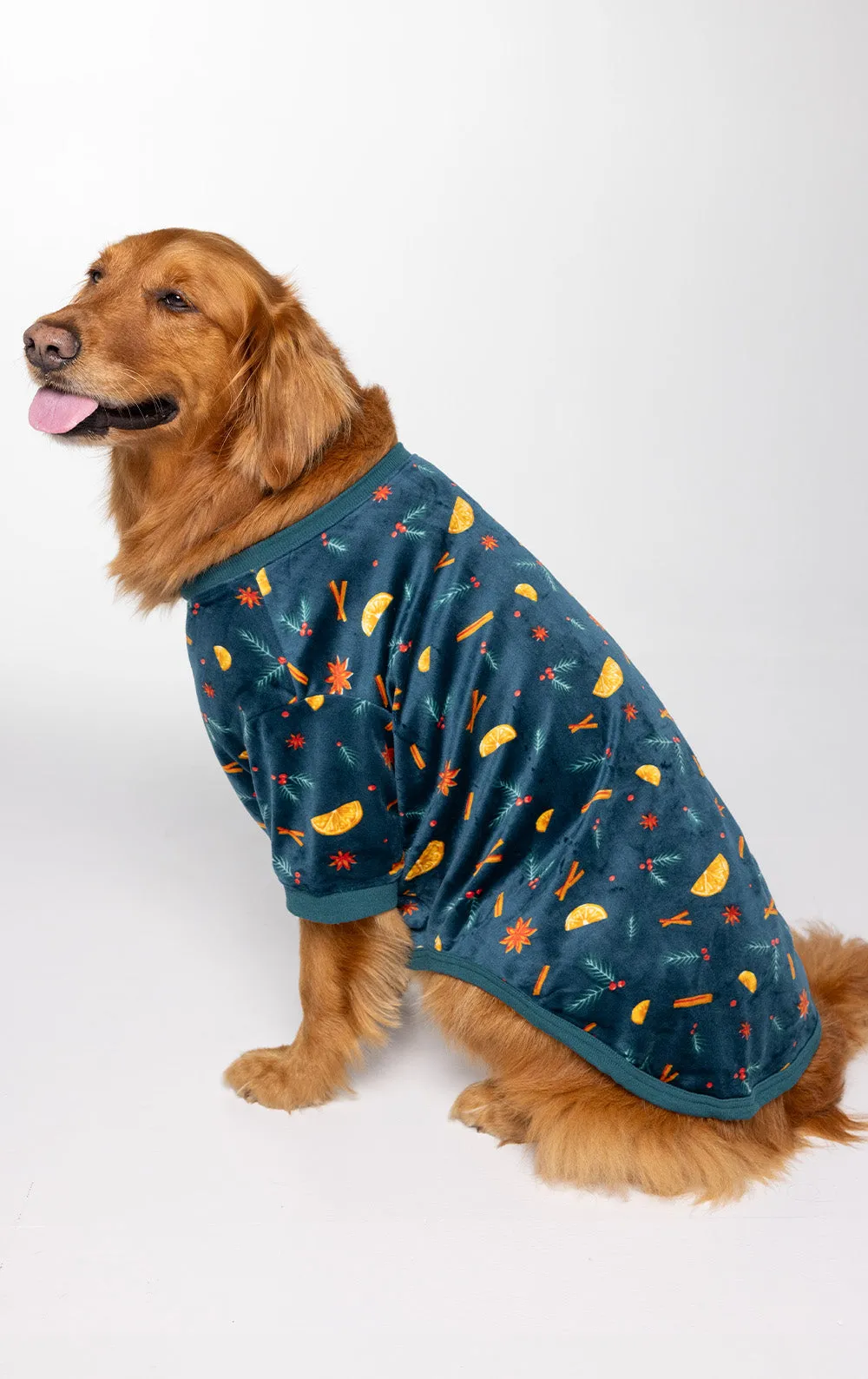 Holiday Garland Pet Pajamas- Family Set