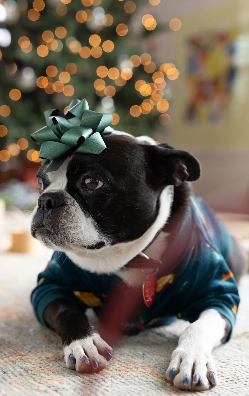 Holiday Garland Pet Pajamas- Pet & Owner