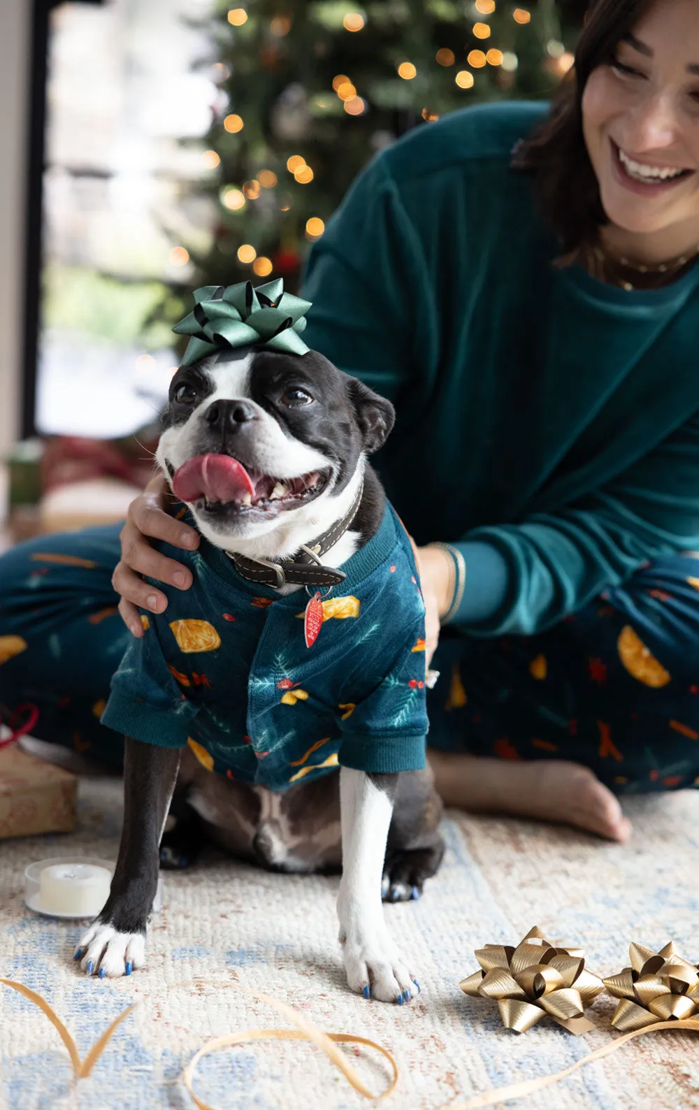 Holiday Garland Pet Pajamas- Pet & Owner